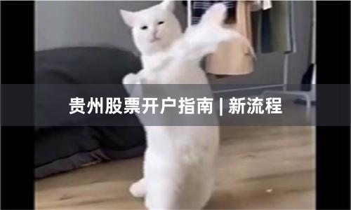 贵州股票开户指南 | 新流程